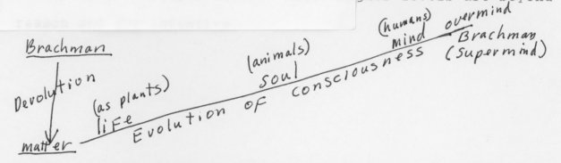 Handwritten diagram labeled 