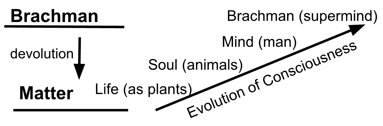 Diagram of the Brachman/Matter axis and the Evolution of Consciousness, showing devolution from Brachman (supermind) down to Matter, and the ascending path back up through Life (as plants), Soul (animals), Mind (man), to Brachman (supermind).